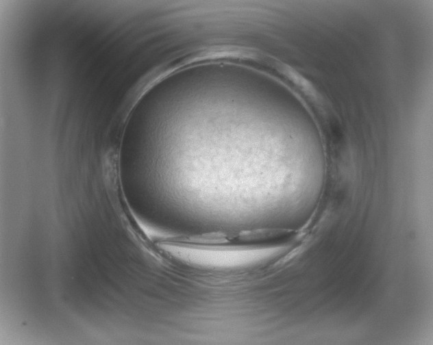 X0000068851369200605121358