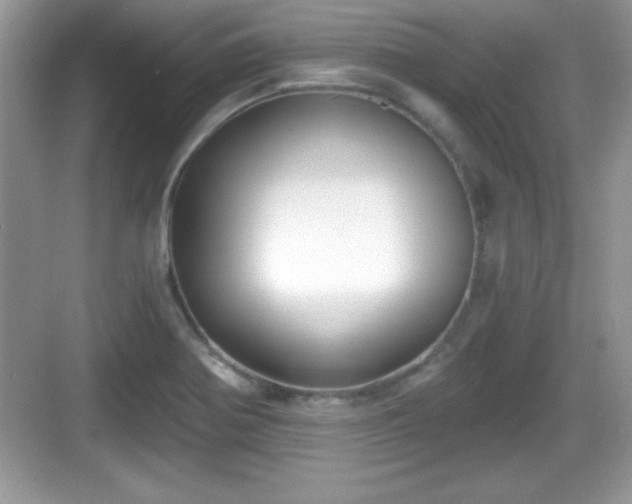 X0000068851370200605121358