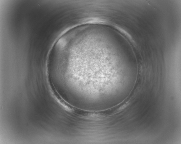 X0000068851375200605121358