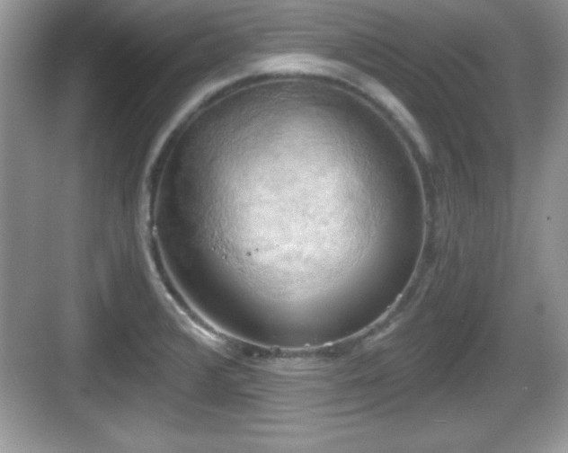 X0000068851376200605121358