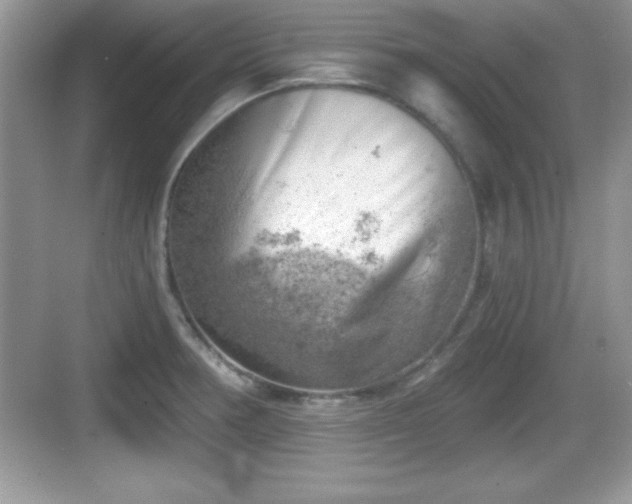 X0000068851378200605121358