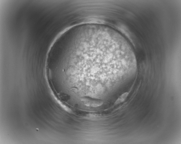 X0000068851379200605121358