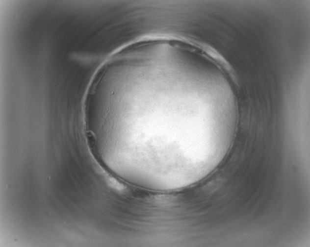 X0000068851380200605121358