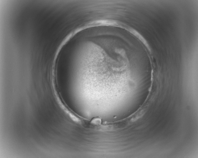 X0000068851381200605121358