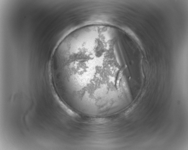 X0000068851382200605121358