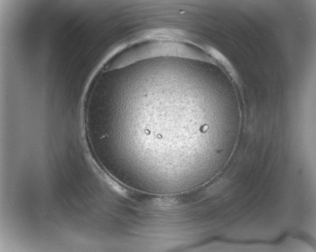 X0000068851384200605121358