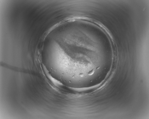 X0000068851385200605121358