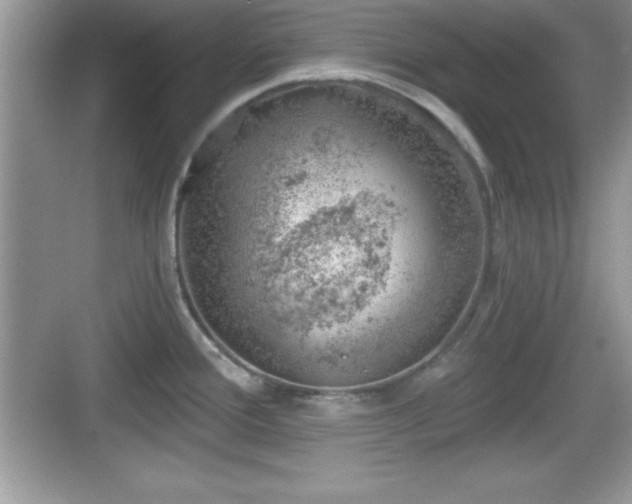 X0000068851388200605121358