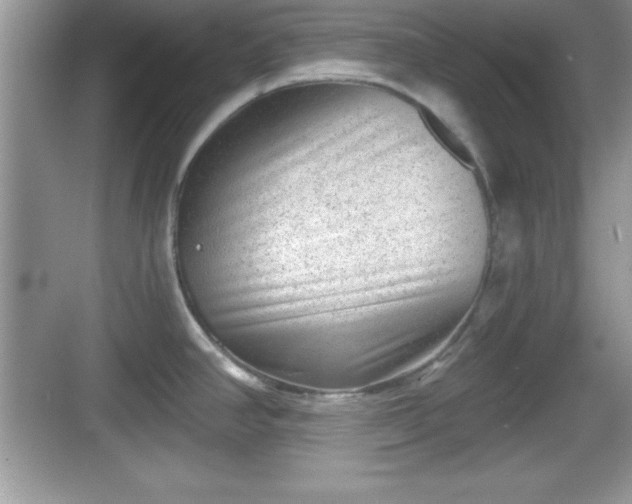 X0000068851390200605121358