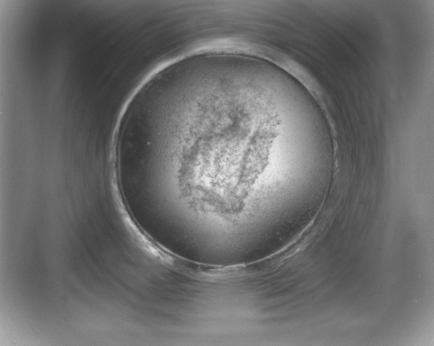 X0000068851392200605121358