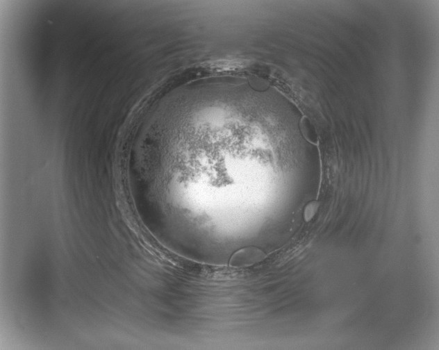 X0000068851393200605121357