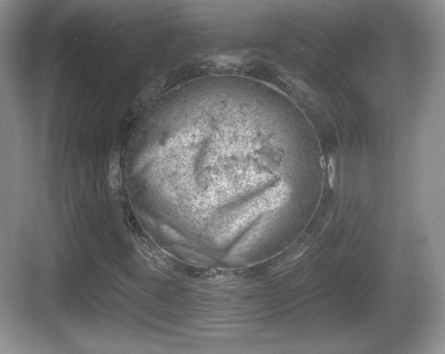 X0000068851395200605121357