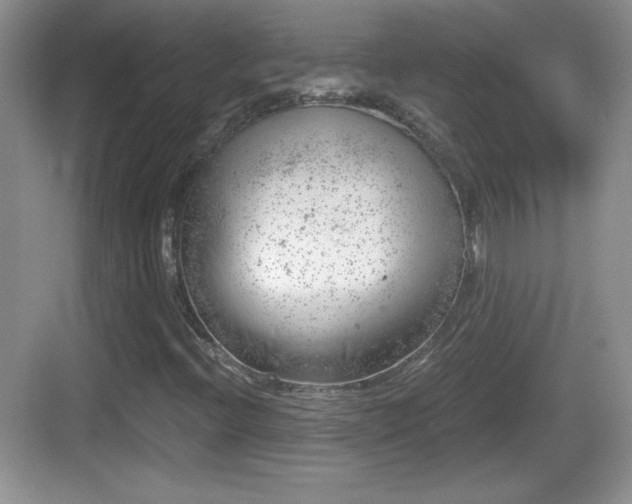 X0000068851396200605121357