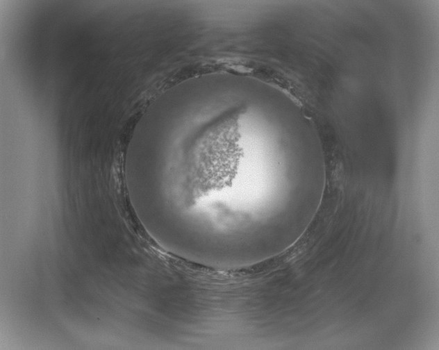 X0000068851397200605121357