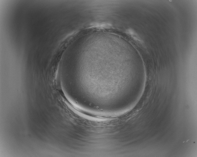 X0000068851398200605121357