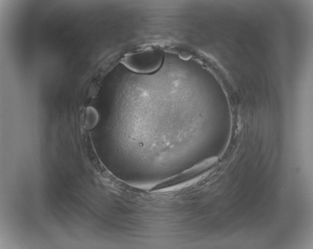 X0000068851399200605121357