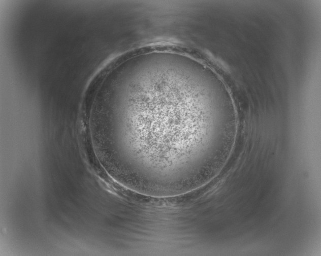 X0000068851400200605121357