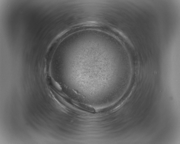 X0000068851402200605121357