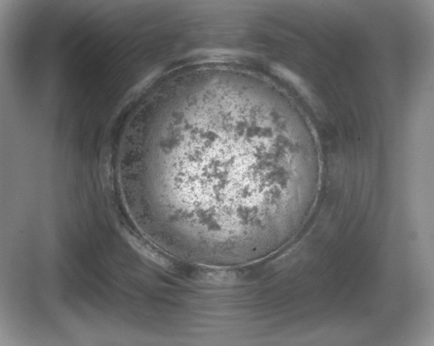 X0000068851403200605121357