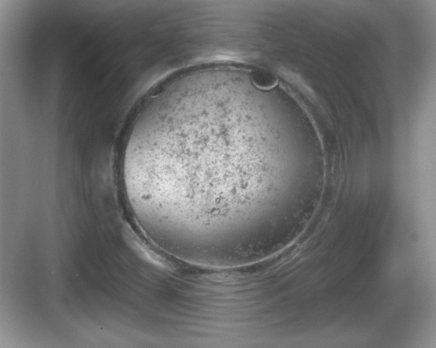 X0000068851404200605121357