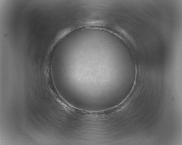 X0000068851405200605121357