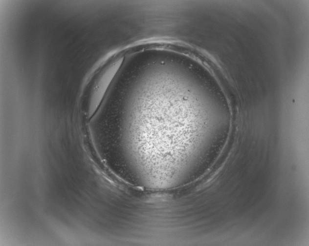 X0000068851406200605121357