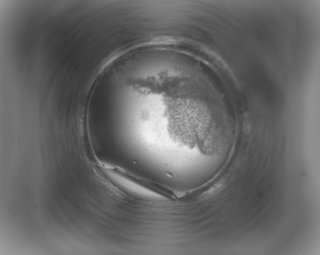 X0000068851409200605121357