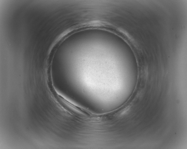 X0000068851410200605121357