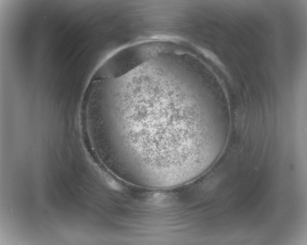 X0000068851412200605121357