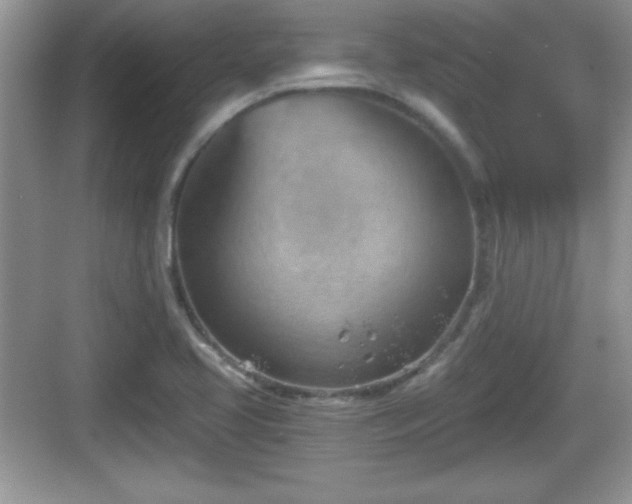 X0000068851413200605121357