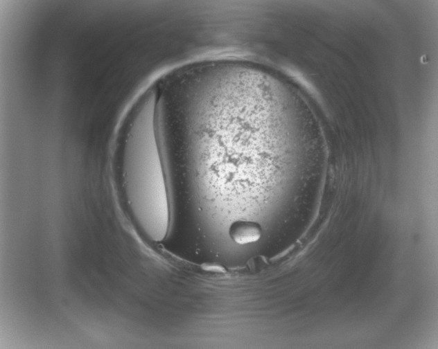 X0000068851414200605121357