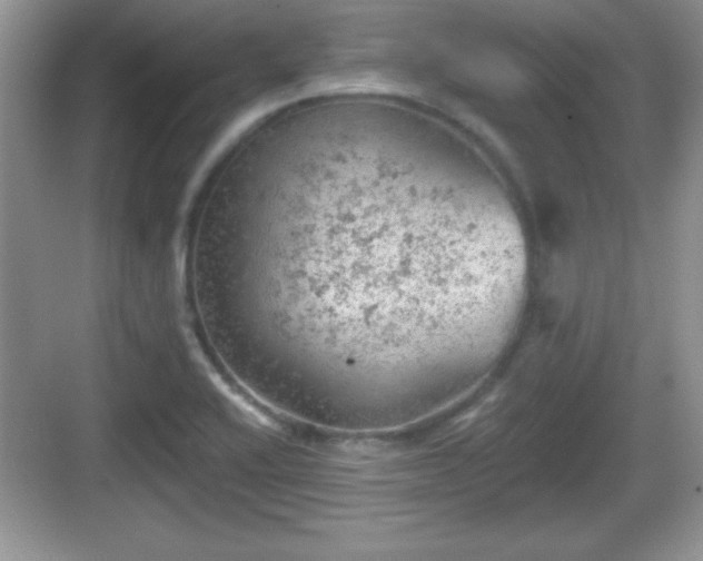 X0000068851416200605121357