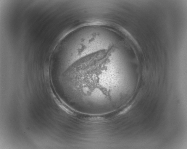 X0000068851417200605121357