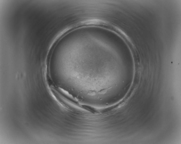 X0000068851418200605121357