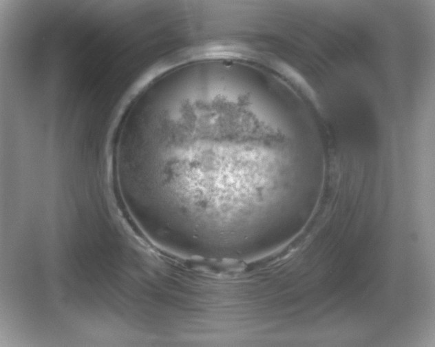 X0000068851419200605121357