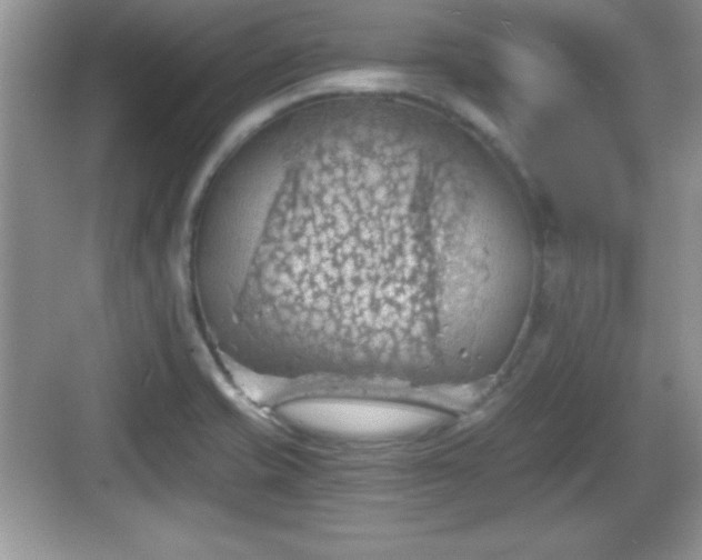 X0000068851421200605121357