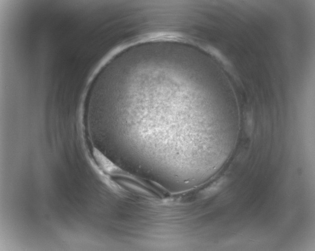 X0000068851422200605121357