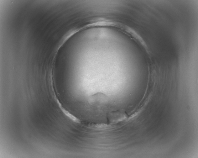 X0000068851425200605121357