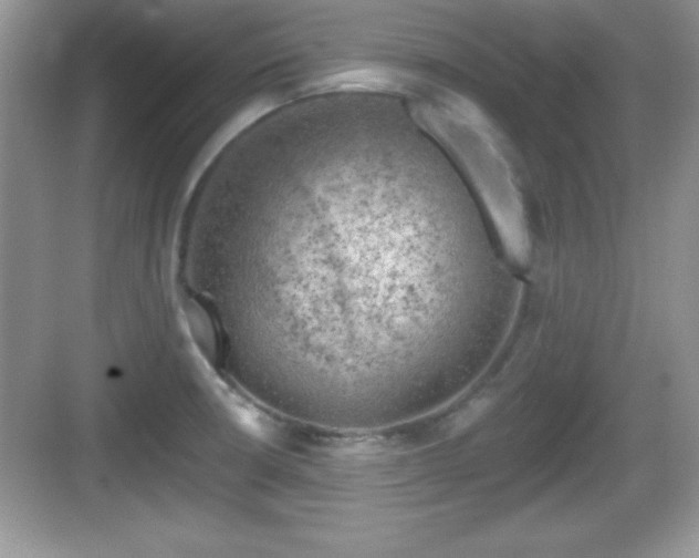 X0000068851426200605121357