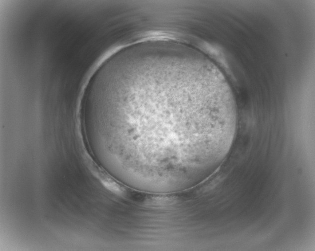 X0000068851427200605121357