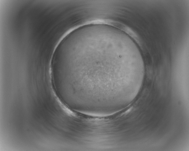 X0000068851428200605121358