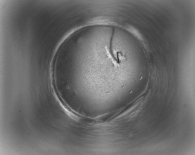 X0000068851430200605121358