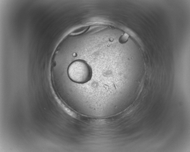 X0000068851431200605121358