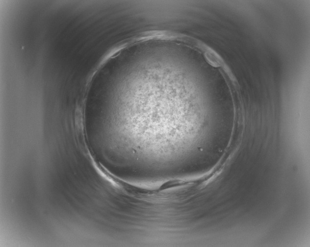 X0000068851433200605121358