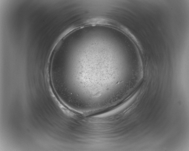 X0000068851434200605121358