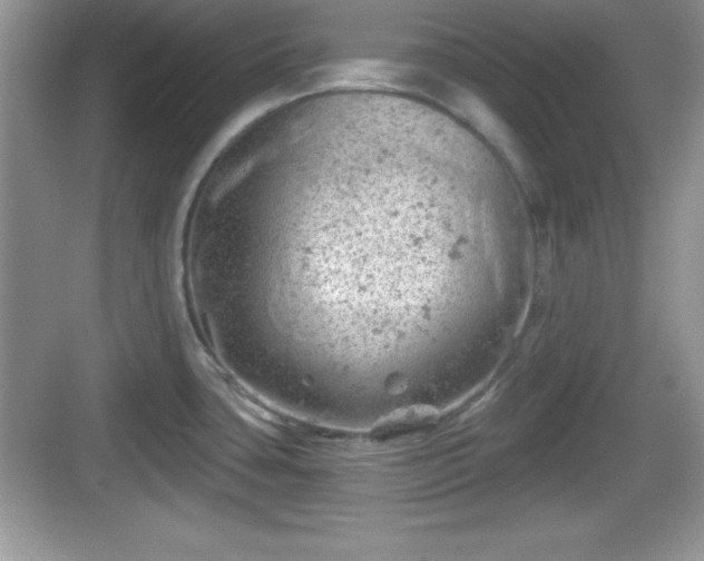 X0000068851435200605121358