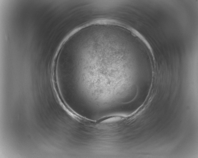 X0000068851437200605121358