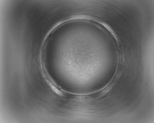 X0000068851438200605121358