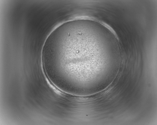 X0000068851439200605121358