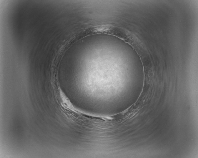 X0000068851441200605121357